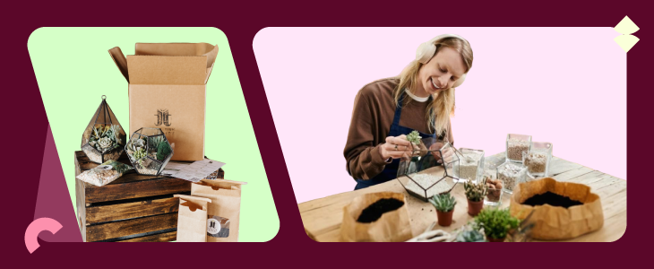 DIY Terrarium Kits for Self-hosted Experience