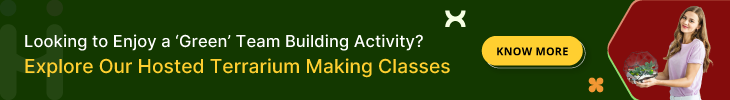 DIY Terrarium classes