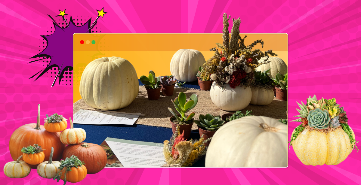 Virtual Pumpkin Succulent Planter