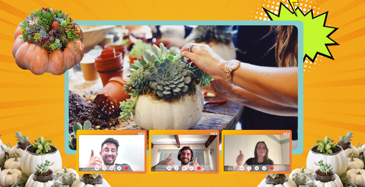 Virtual Pumpkin Succulent Planter
