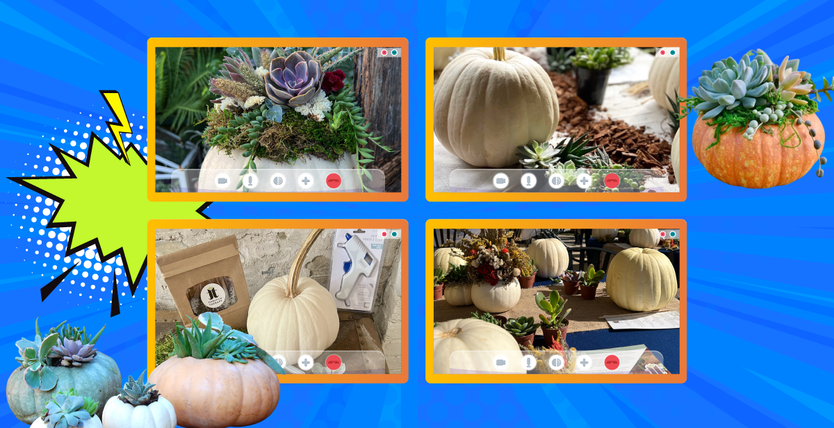 Virtual Pumpkin Succulent Planter