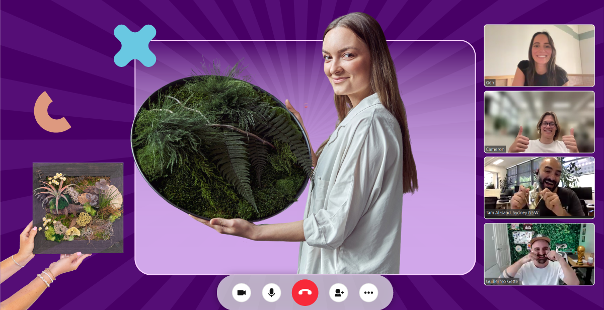 Virtual Moss Wall with Air Plants