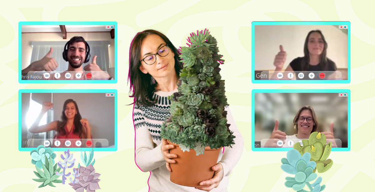 Virtual Succulent Christmas Tree