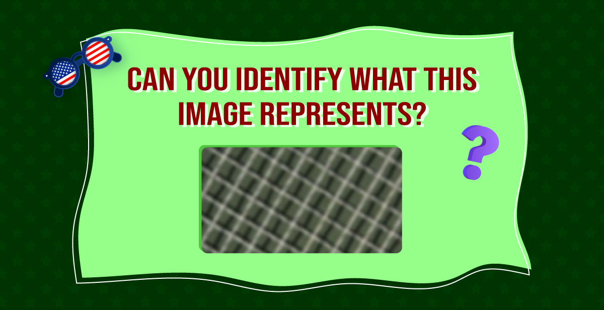 Virtual 4th of July Guess the Picture