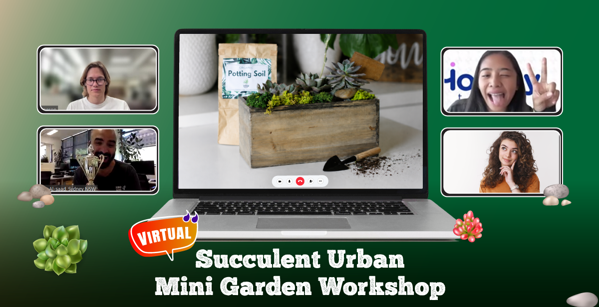 virtual-succulent-urban-mini-garden-workshop