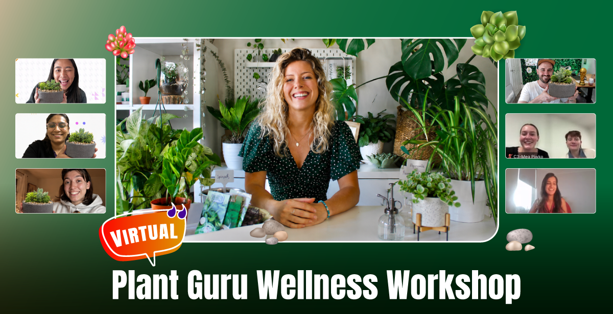 virtual-plant-guru-wellness-workshop