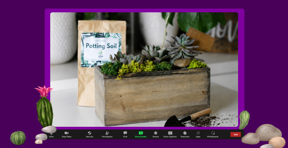 Virtual Succulent Urban Mini Garden Workshop