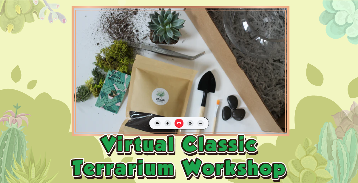 virtual-classic-terrarium-workshop
