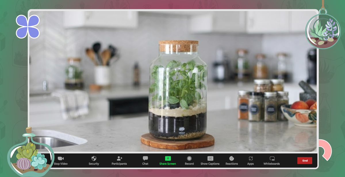 Virtual Sealed Terrarium Workshop