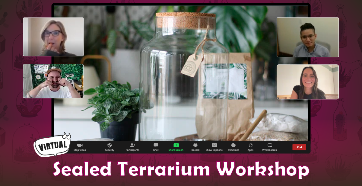 virtual-sealed-terrarium-workshop