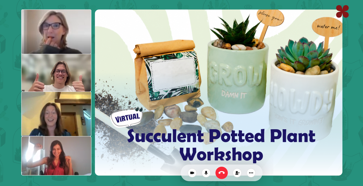 virtual-succulent-potted-plant-making