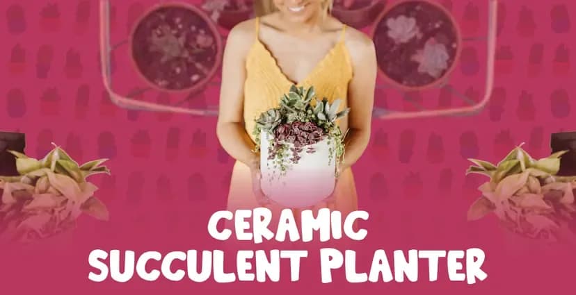 virtual-ceramic-succulent-planter