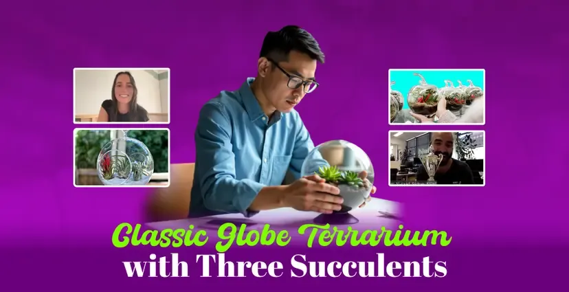 classic-globe-terrarium-with-three-succulents