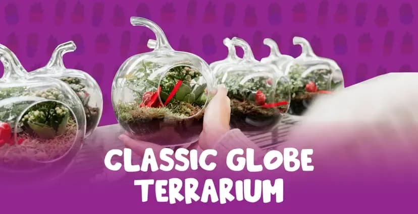 classic-globe-terrarium-with-two-succulents