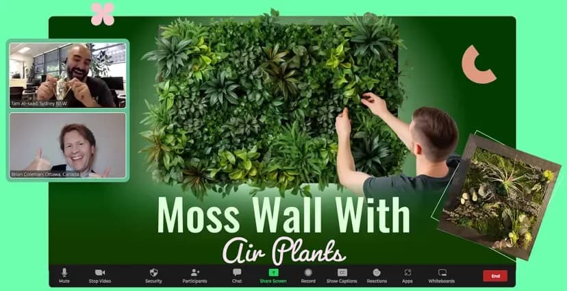 virtual-moss-wall-with-air-plants